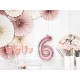 Number 6 Rose Gold Foil Balloon - 6 years party