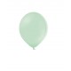 Pastel Pistachio Standard Balloons