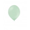 Pastel Pistachio Standard Balloons