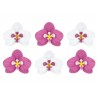 Fiori in carta Orchidee 6 pz